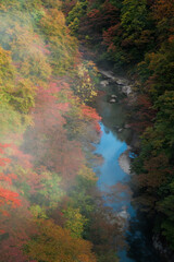 小安峡の紅葉