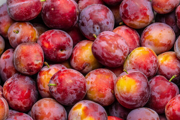 Plums background. Fresh plum. Harvest. Autumn. top view