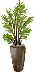 potted plant illustration