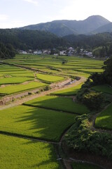 Green and lush terrace rice paddies and fields in Akita prefecture, Tohoku region, northern Japan, Asia