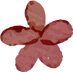 botanical watercolor element