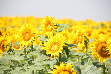 Travel to Balkans - Romania and Bulgaria