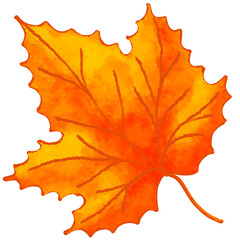 hand drawn Autumn leaves illustion. fall season leaf clip art. crayon red and orange color leaf.png clip art for decoration.