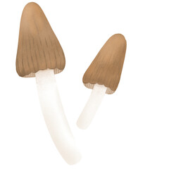 Hand drawn crayon mushroom illustion. woodland in fall season clipart. brown mushroom.
