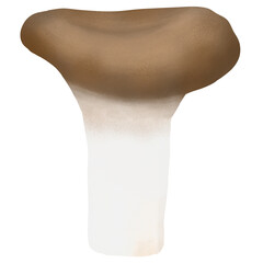 Hand drawn crayon mushroom illustion. woodland in fall season clipart.King Oyster Mushroom.
