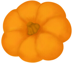 Hand drawn Crayon Pumpkin Fruit illustion. Autumn fruit. Vegetables And Fruits Cartoon 
