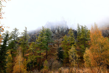 landscape mountain altai, panorama scenery freedom, autumn nature of siberia