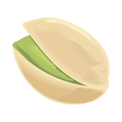 pistachio icon isolated