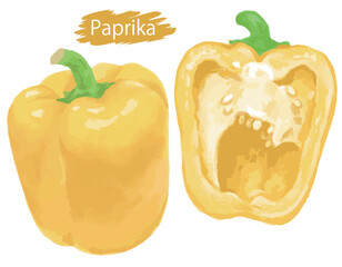 水彩風の野菜、パプリカ。ベクターイラスト素材