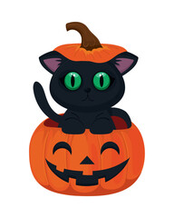 halloween cat on pumpkin