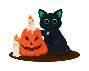 halloween cat and pumpkin