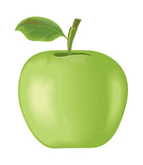 green apple fruit realistic