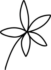 botanical wildflower line art