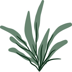 Flat botanical leaves illustration
