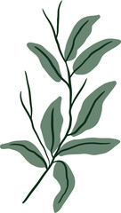 Flat botanical leaves illustration