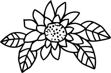  botanical leaf doodle wildflower line art