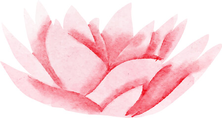 pink lotus flower, watercolor illustration, hand drawing, floral wedding