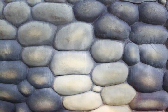 background with a belly crocrodile 