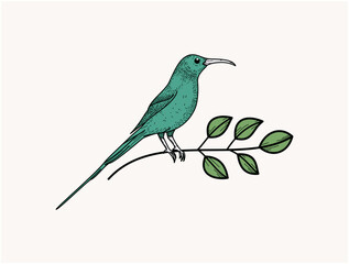 illustration of a bird