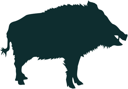 silhouette of a boar