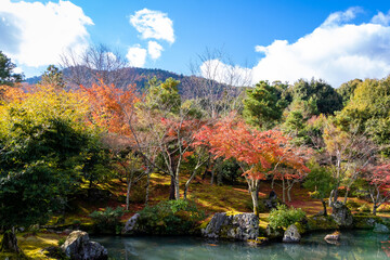 秋の京都・天龍寺で見た、色鮮やかな曹源池庭園の紅葉と青空に浮かぶ雲