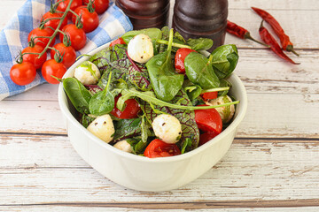 Mix salad with mozzarella and tomato
