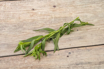 Green tarragon herb spice for cooking