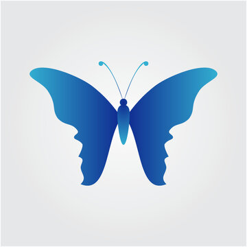 butterfly vector illustration