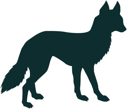 illustration of a fox
