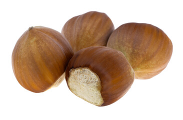 hazelnut isolated