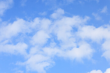 青空に広がる柔らかい雲