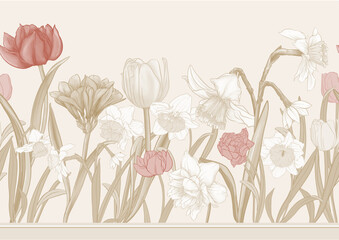 White daffodils and tulips flowers, the early spring flowers. Seamless border pattern, linear ornament, ribbon Vector illustration. In botanical style