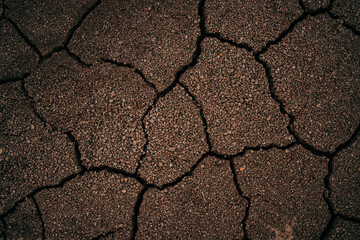 top view cracked dry soil texture background Mosaic pattern of sunny dry soil.