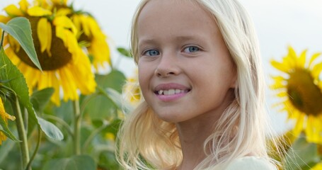 Fototapeta premium Beautiful little girl enjoying nature . Happy smiling female kid standing in sunflowers field