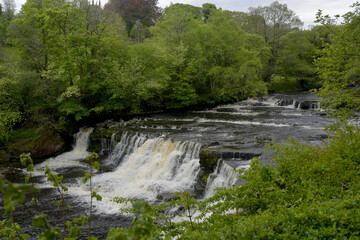 Aysgarth Upper Falls in Wensleydale, Yorkshire Dales