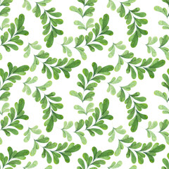 Seamless wild grass pattern. Green lingonberry leaves. Delicate pattern on white background.