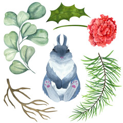 Rabbit and plants Christmas set. Fluffy gray rabbit, eucalyptus, carnation, holly, pine branch, dry branch.