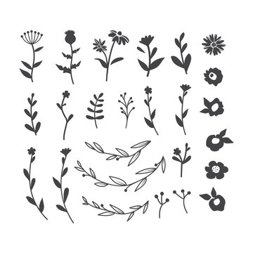 Flowers and branches silhouette vector set. Floral hand drawn decorations. Flower black icon.