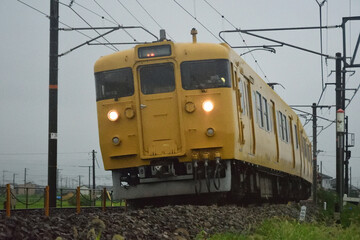 Obraz premium 115系普通列車