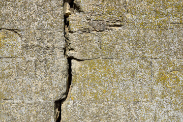 Vertical big deep crack on old moss-covered wall. Several of deep cracked line. Close-up. Copy space. Selective focus.