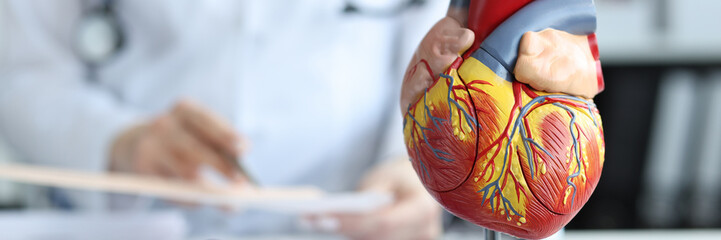 Artificial plastic model of human heart standing against background of cardiologist closeup