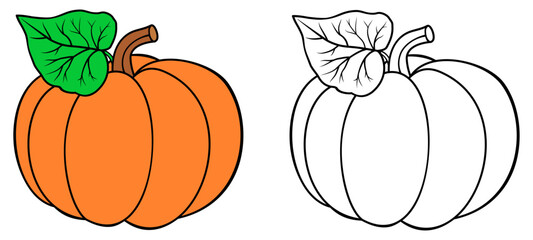 Pumpkin coloring book. Colored and outline vector illustration isolated on white background. Coloring book page for children.