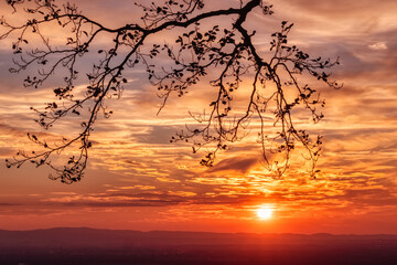 Fototapeta premium Sonnenuntergang im Schwarzwald