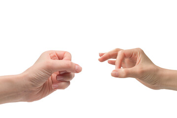 Woman hand isolated on a white background.