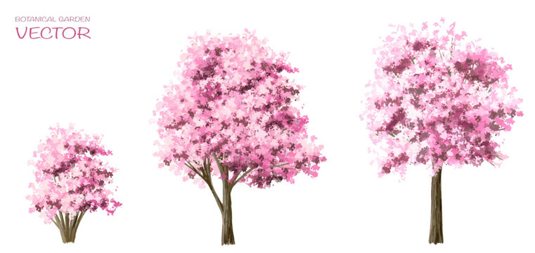Vector watercolor blooming flower tree or forest side view isolated on white background for landscape and architecture drawing,elements for environment or and garden,botanical for section in autumn   