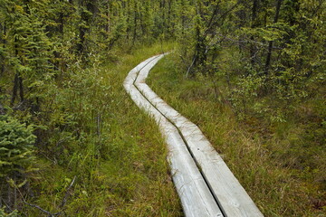 Obraz premium Boardwalk on hiking trail to Hidden Lake,Alaska,United States,North America 