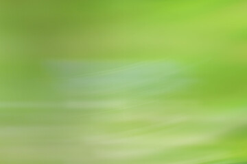 Obraz premium spring light green blur background, glowing blurred design, summer background for design wallpaper