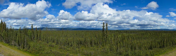 Fototapeta na wymiar Beautiful clouds about Alaska Highway in Alaska, United States,North America 