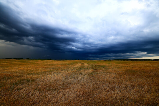 cloudscape field hay rolls sky clouds autumn, gloomy weather agriculture