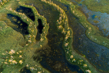 An aerial of summery aapa bog in Hossa region, Northern Finland